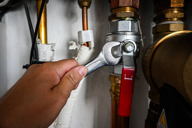 Best Local Plumber Services  in Havana, IL